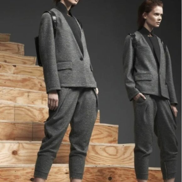 Alexander Wang Wool And Silk Blend Trouser Pants Ankle Zip Women Size 8 - Picture 3 of 13